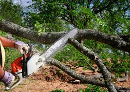 Soil Testing and Treatment in Fort Mohave, AZ